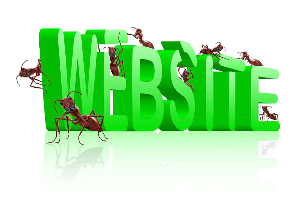 網(wǎng)站建設(shè),網(wǎng)站建設(shè)方案