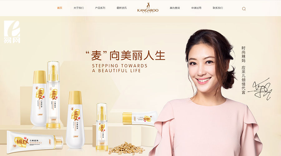 網(wǎng)站建設(shè)