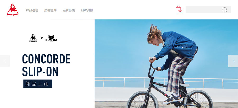 網站建設,網站建設公司