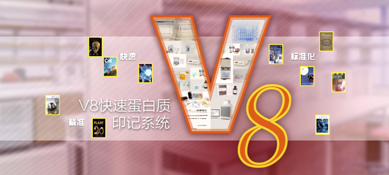 上海網(wǎng)站制作